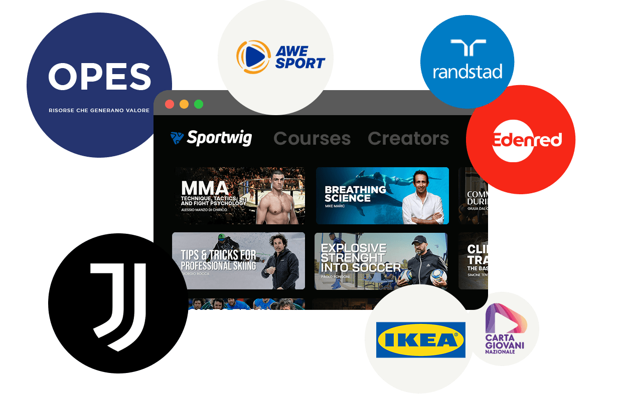 Partner & clients